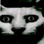 Avatar of player Hello Kitty