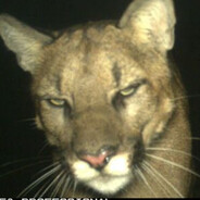 dex - steam id 76561199045019181