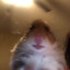 domar CSGOSKINS