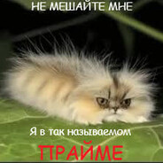 Котогусеница's Avatar