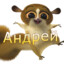 Жесткий_Андрей