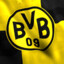 BVB 09