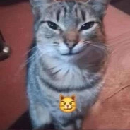 44444444444444444444444444444444