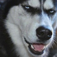 体育精神？我是韩国玩家