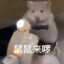导管超人
