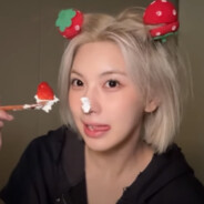 엔써梁山麻醉槍