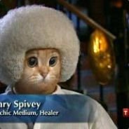 GarySpivey