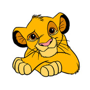 simbacs