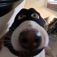 Wryyyyyyyyyyyyyyyyyyyyyyyyyyyyyy