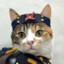 TheInspector