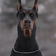 全场最佳算我输