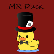 Mr Duck