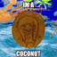 coconut