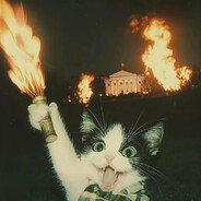 Tony 斯塔克工业