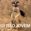 danncorreia95