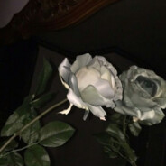 diggah vallah film heute