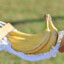 Banana Hammock