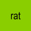 rat summer