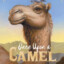 cameelcamel