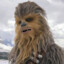 Chewbacca