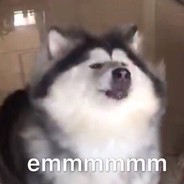 HDGGGGGGGGG