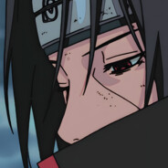 我是新手别打我 >_<