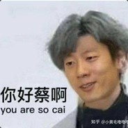 你们打的像蔡徐坤