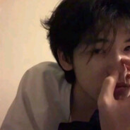 爱撞南墙的王八