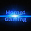 Hornet Gaming