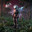 Pioneer_Anomaly