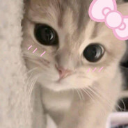 TSM I @ñau!! (Sofi)