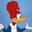 woodpecker