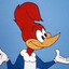 woodpecker