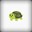 mylittleturtle81