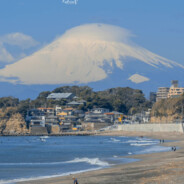 百变的浪漫乌贼