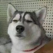 你是社会王吗？