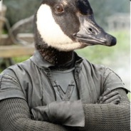 The Goose