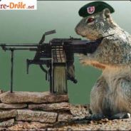 Couille de RaT (Need Team) - steam id 76561197960432446