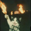 arsonist cat