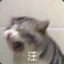 夏哔哔