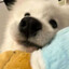 一点点