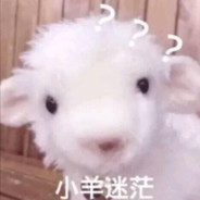 小羊挨打第一名