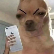 铥铥丶