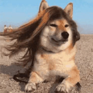 混与躺丶轮回不止