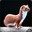 Weasel