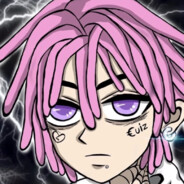 不会飞的固拉多