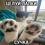 󠁳 󠁳⁧⁧../'].;[, avatar