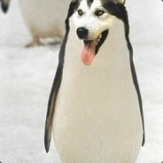 人是打不过狗的