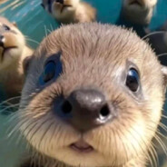 翻斗花园牛铁锤