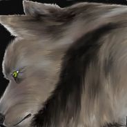 Gridwolf - steam id 76561197971744577